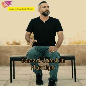 دانلود آهنگ جدید سعید جمشیدی به نام نارفیق