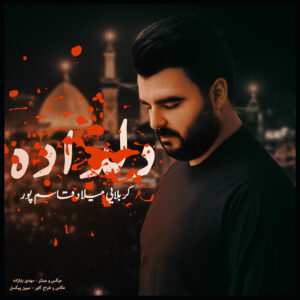 دانلود نوحه جدید میلاد قاسمپور به نام دلداده ( مداحی ترکی و فارسی )
