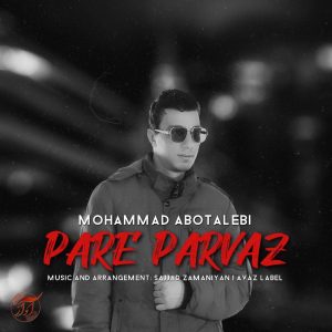 دانلود آهنگ جدید محمد ابوطالبی به نام پر پرواز