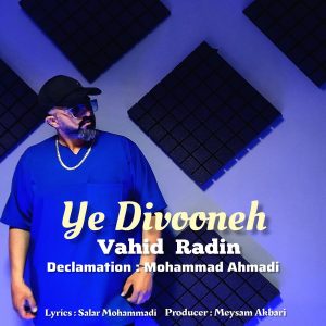 دانلود آهنگ جدید وحید رادین به نام یه دیوونه