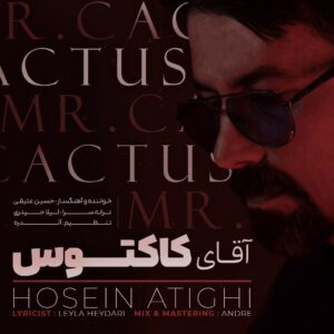 دانلود آهنگ جدید حسین عتیقی به نام آقای کاکتوس