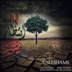 دانلود آهنگ جدید سید علی شمس به نام پر از انتظار
