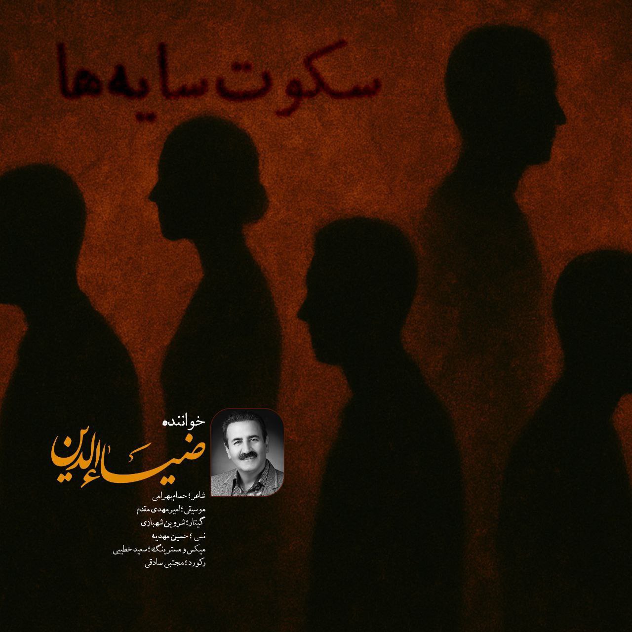 دانلود آهنگ جدید ضیاءالدین به نام سکوت سایه ها