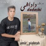 دانلود آهنگ جدید امیر پیشراه به نام داداشی