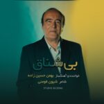 دانلود آهنگ جدید بهمن حسین زاده به نام بی شناق